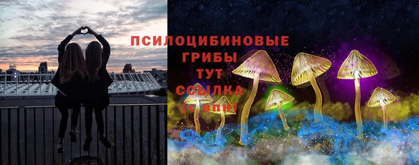 первитин Алексеевка