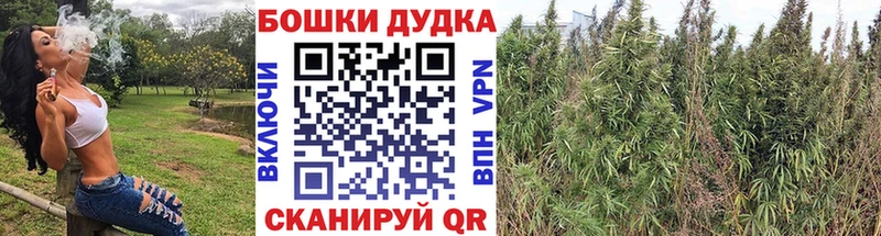 Канабис ГИДРОПОН Ельня